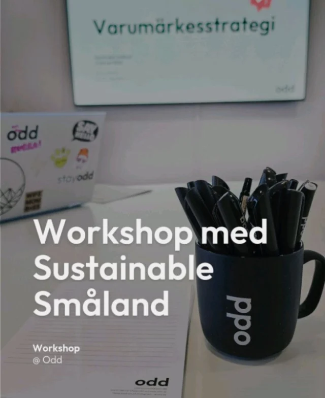 Workshop med Sustainable Småland⁠ ✨
⁠
🚀 Vi fick i uppdrag av styrelsen att hålla en workshop för att förtydliga varumärket, hitta möjligheter och göra prioriteringar som mynnar ut i en kommunikationsplan. Genom frågor och diskussioner tog vi fram ord, tankar och reflektioner kring verksamheten och det föreningen gör. Efter workshopen fick kunden ett dokument som förtydligar vilka de är, vad de står för, hur de vill se ut och kännas, vilka kanaler de bör prioritera, idéer och rekommendationer kring innehåll och publicering.

🙌🏻 Sustainable Småland är ett medlemsbaserat nätverk med mål att uppnå hållbar cirkulär utveckling i regionen. Genom att sätta hållbarhet på agendan, bygga och dela kunskap samt främja samverkan skapar föreningen en lokal arena för omvärldsbevakande hållbarhetsfrågor. Tillsammans påskyndar medlemmarna omställningen för ett hållbart Småland.⁠

#workshop #stayodd #kommunikation #varumärke