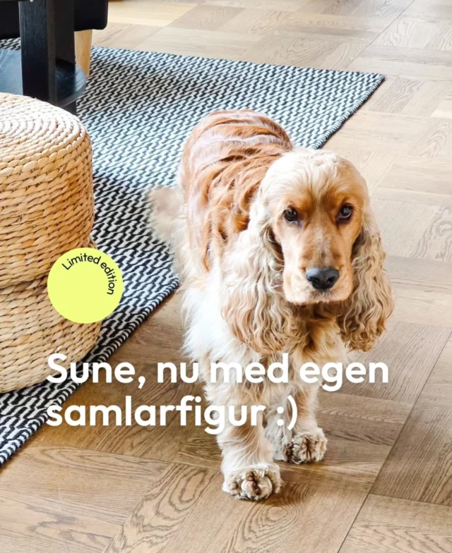 Du har säkert sett dem, de AI-genererade actionfigurerna i förpackning med titel och tillbehör. Just nu sveper trenden över sociala medier och vi kunde förstås inte låta bli.⁠
⁠
Våra praktikanter, Julia och Hanna, förevigade Sune med en egen samlarfigur, hur söt?! 🐶 Och sen har vi Social Media Managers med de perfekta tillbehören @somekort.se 😎
⁠
Kul trend! Vilken actionroll skulle du vilja bli förpackad som? 😆