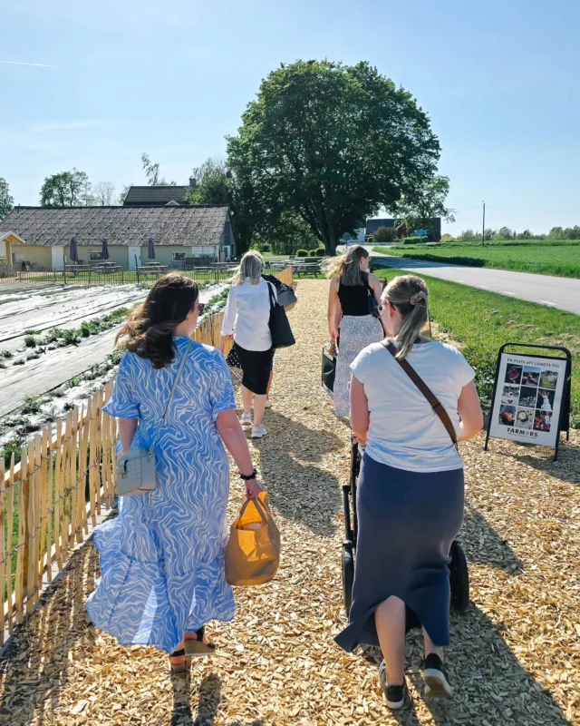 Sommarhäng ☀️🍨⁠

I veckan lämnade vi skärmarna en stund för att bege oss ut på äventyr. I bästa tänkbara väder började vi med picknick. Därefter fick vi en rundtur av Emilia på @farmorsgrimslov följt av en kväll med glasstillverkning. Vi fick både skapa och smaka! Kul aktivitet att göra tillsammans. ⁠
⁠
Fyra fantastiskt goda smaker blev det, varav två har gett Emilia medalj på SM 🥇🥉 Så häftigt! ⁠
⁠
Nu är våra frysar fyllda med magiskt god glass tillverkad av hela Oddgänget. Tack Emilia för en fin kväll. Så kul att ta del av storyn bakom verksamheten och få se hur det går till vid glasstillverkningen.